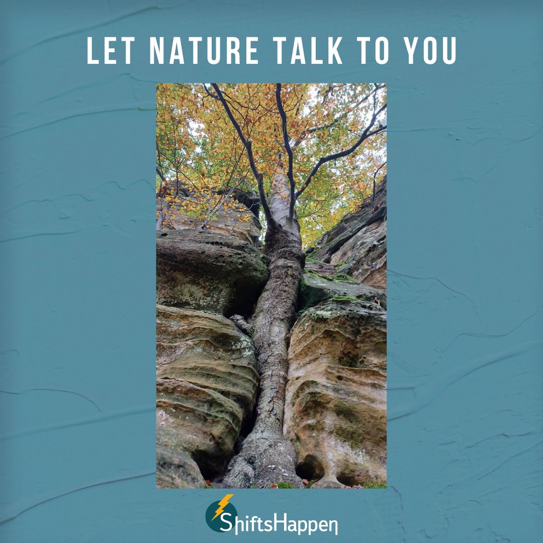 Let Nature Talk To You